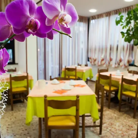 Hotel Angelini 3*