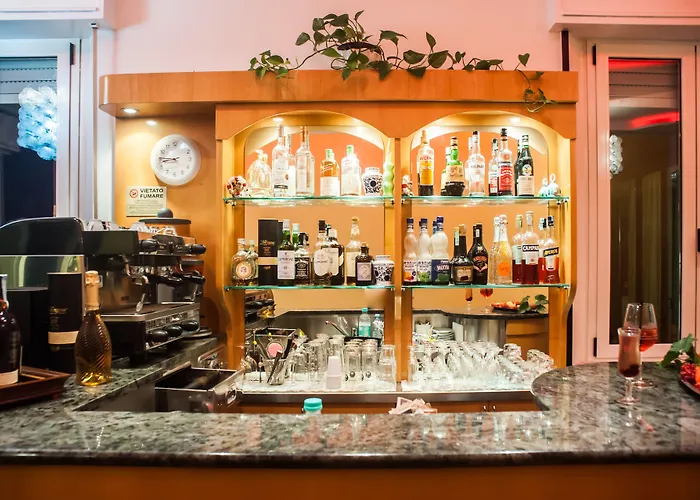 安格里尼酒店 3* 里米尼